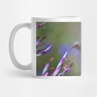 Allen's Hummingbird Mug